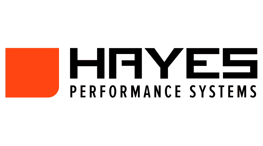 Hayes annuncia una partnership di distribuzione con AMG in Italia – Business
